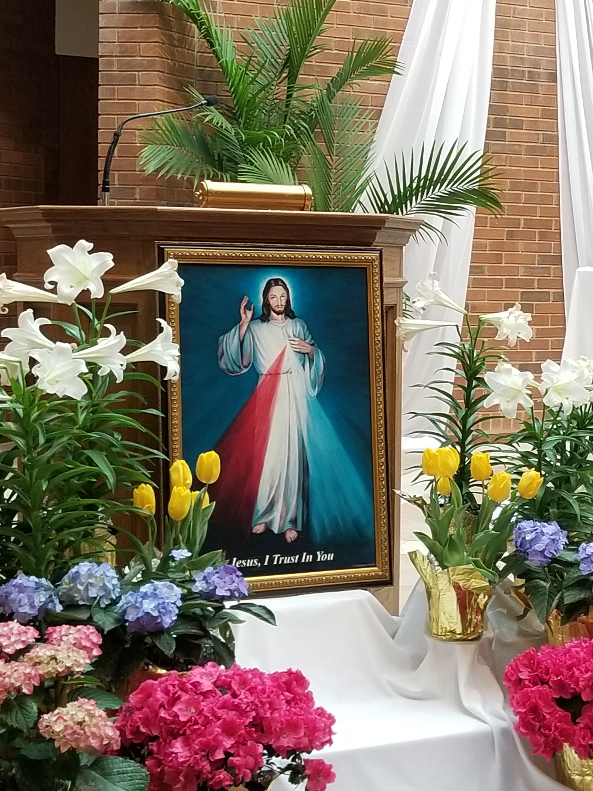 2018.Divine Mercy image